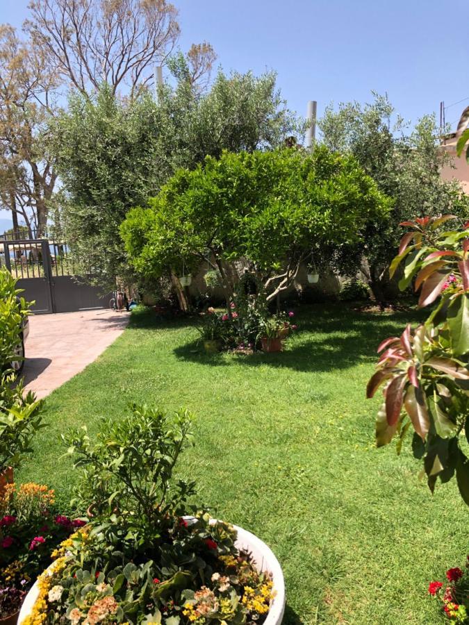 Olive House. Hotel Vlore Luaran gambar